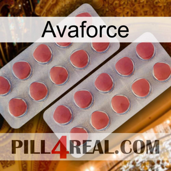 Avaforce 19.jpg